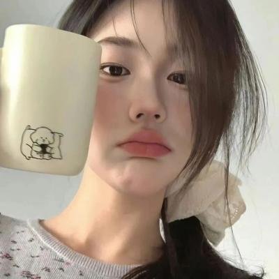 鸽之翼